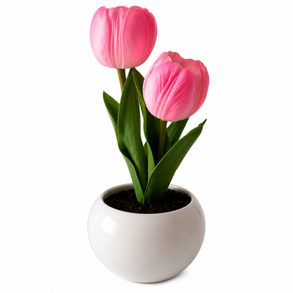 🌷 Tulip Glow Lamp.