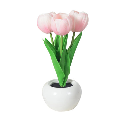 🌷 Tulip Glow Lamp.